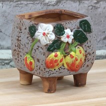 컬러 다육이 화분 - 다육 화분 선인장 미니화분 딸기그림 딸기무늬 인테리어화분 홈카페 사무실 거실화분 예쁜화분 가드닝 소품