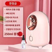 피부 보습 가습기 미스트기 미니 스팀 온열, 메디컬뷰티 -프리미엄 파우더【250ML 빅탱크/파워