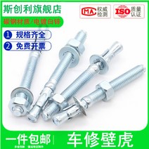 앙카 아연도금 도마뱀 차 너트 래핑 엘리베이터 전용 팽창 볼트 M8M10M20 2526127437, 16 *100 (2커버 )