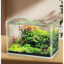 아크릴 수족관 중형 거북이 물고기 열대어 키우기, 20x14x16cm 초백색 벤딩