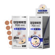 대일밴드 대일 빠삐방 700(10T) x 5개 붙이는 파스 동전패치
