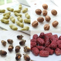 가을열매꾸러미80p 도토리 대추 호두 땅콩까지모형모음