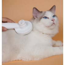 원터치 고양이 털빗 브러쉬 헤어볼 죽은털 제거 슬리커, White