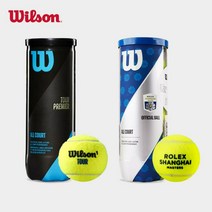 윌슨 Wilson테니스공 US open 롤랑가로스 상하이 프로 대회 리바운드 테니스 3 캡슐