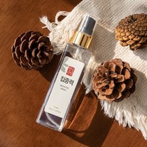 향기비책 집중력 스터디 졸음방지 멀티스프레이 110ml, 부스터 멀티스프레이 110ml