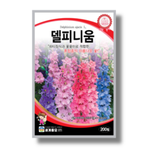 델피니움 200립 / 델피니움씨앗 꽃씨 델피니움씨