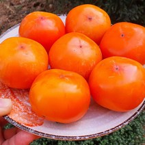 초달달촉촉 청도 반시 씨없는 홍시 가성비 좋은 가정용 판매중, 1박스, 5kg(청도반시/55과 내)