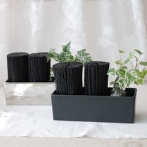 [천연가습기] 참숯과 수경식물 제습효과 가습효과 백탄 참숯, 골드, 20cm, 아이비