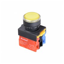 1A1B 푸쉬온 스위치 자동복귀리턴 트랜스부착형 380V AC LED 22mm NS22-BEM-L4A1A1B, 화이트 [NS22-BEM-L4AW1A1B]
