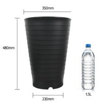 48cm 큰 화분 높은 식물 산세베리아 타이거하니 여인초 키우기, 그레이