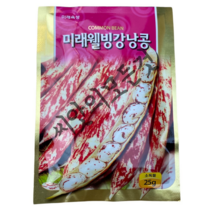 국산 얼룩 강낭콩 씨앗 25g 비덩쿨형 토종 알록강낭콩 종자 학교준비물로 으뜸 미래종묘