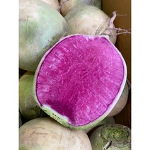 과일무 5KG 2022년 햇 수박무 컬러푸드