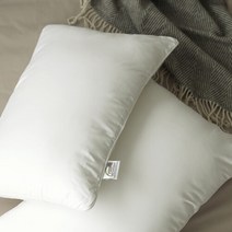 [파르페by알레르망] 다운필 호텔 베개솜(40X60) 1+1