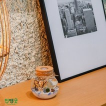 수경재배 반려식물 마리모 어항 LED항아리 선물세트, LDE항아리오색사