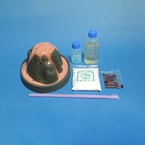 사이언샵 화산모형만들기(5인세트)/화산분출과정/화산의특징