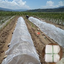 마늘부직포 마늘멀칭비닐20 메쉬 너비 1m 2m 3m 정원 해충 방제 그물 식물 야채 과일 보호 커버 조류 방지, 01 20 Mesh_02 Width 3m