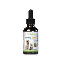 펫웰빙 헬씨검스 잇몸영양 Petwellbeing Healthy Gums, 1병