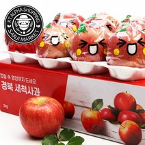 [KT알파쇼핑]경북 남상주농협 바로먹는 세척사과 3kg (11~14과), 중