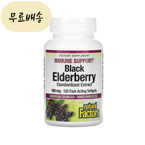 네추럴 팩터스 블랙 엘더베리 100mg 캡슐 120개입 [2통] Black Elderberry, 120개