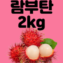 람부탄 2kg RAMBUTAN 베트남 열대과일 냉동 아이스박스, 냉동 람부탄 2KG