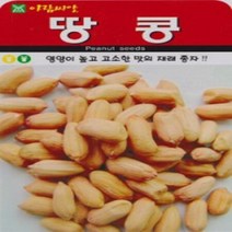 AR 땅콩 20g 국산 햇땅콩 씨앗, 1개