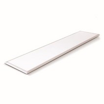 우진조명 씨티 LED 엣지 도광판 1200x300 50와트 T바, 주광색, 주광색
