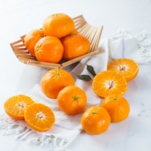 제주 레드향 5kg 10kg 3kg 가정용 선물용 세트, 레드향 선물용 5kg
