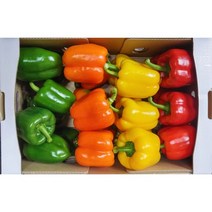 오색팜 사계절 싱싱한 제철 파프리카1kg 2kg 3kg 4kg 5kg, 1kg, 선택3(빨강+노랑+초록)