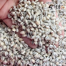 힘찬농부 국산 흑보리 검정보리쌀 흑찰보리, 1개, 5kg