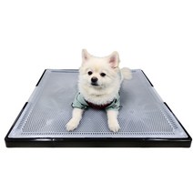 킁킁제로2 반려견 배변패드 배변판 세트