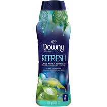 다우니 인퓨전 리프레쉬 데오도라이저 향기 지속제 부스터 비즈 버치 워터 앤 보타니칼 20.1oz(570g) 2팩 Downy Infusions Refresh Birch Water, 1개