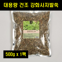 강화사자발쑥 강화섬쑥 강화도 사자발쑥 인진쑥 애엽 마른 말린 건조 쑥 건쑥 대용량 100% 100프로 100퍼센트 500g 1팩, 1개