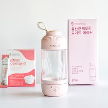 유산균 팩토리 요거트 메이커 제조기 270ml 수제 요구르트 요플레 만들기 아침 식사대용 아이들영양간식 쉽고빠르게만드는요거트, 유산균 팩토리 요거트 메이커 270ml 1개, 1개