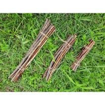 자작나무가지 3종 10개 1묶음 행잉플랜트 나무막대 나뭇가지 DIY 마크라메 장식소품, 옵션3)50cm