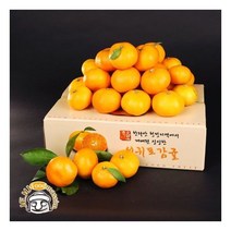 서귀포 하례마을 노지감귤 3kg (혼합과 2S-2L 실중량)