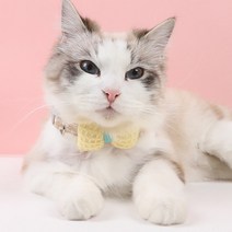 집사의의무 고양이 강아지 리본 케이프 나비넥타이, 스카이블루