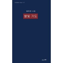 별빛 기도:황희영 시집, 시와표현, 9791190943147, 황희영 저