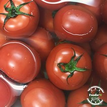 푸디앤 완숙 토마토 5kg 10kg (못난이 부족 시 소과로 배송), 행사중! 못난이 10kg(랜덤과), 1개