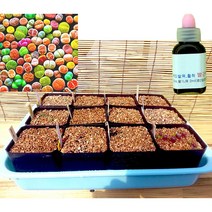리톱스파종full셋트 = 믹스씨앗300립+칼라관수대셋트+발근력식물영양제20ml+이름표사은품(총9가지 풀셋트)