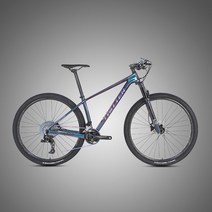 비싼 자전거 트위터 탄소 섬유 산악 rs-12speed 포크 서스펜션 mtb 산악 디스크 브레이크 29 인치, 밝은 회색, 29 x17(170-185cm)