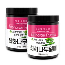퓨어영 회화나무열매분말 200g, 2통