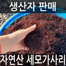 해초세모가사리 인기 제품 할인 특가 리스트