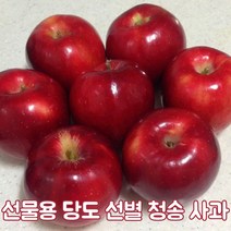 고당도 선별 사과 청송사과 홍로 최고급 2kg 3kg 5kg 선물세트 명절 가을 제철 선물용 가정용 업소용 식자재 경북, 중과(6~9과)2kg