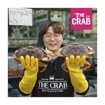 [더꽃게] 활 던지니스크랩 1마리 (900g~1kg), 상세 설명 참조