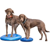 22 FitPAWS 개 훈련 밸런스, 기본