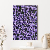 더 아트 컴퍼니 감성 꽃그림 사진 액자 33종 1-33, 5. 퍼플 팬지