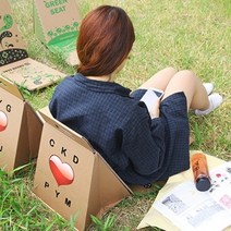 등받이 종이의자 D 휴대용의자 캠핑의자 나들이의자 야외의자, 1개