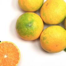 제주고급과일 황금향 소과 2kg 5kg(벌크), 소과 2kg(벌크)