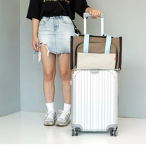 모모스페이스 기내 강아지 바리 켄넬 고양이 케이지 이동장 4kg 미만 사이즈, 그레이(오렌지)
