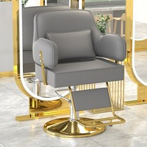 바버샵의자 이발소의자 럭셔리 회전 안락 의자 미적 스타일링 전문 이발 살롱 트리트먼트 세디아 기레 가구 LJ50BC, 4.gold disc